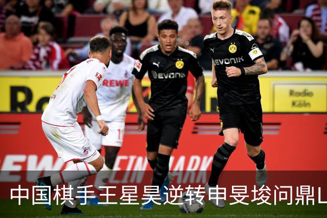 中国棋手王星昊逆转申旻埈问鼎LG杯